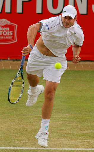 ロディック 運も味方につけ準々決勝進出