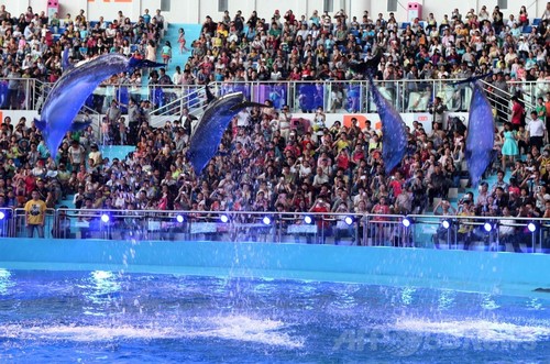 労働節に 動物オリンピック 中国の動物園 写真8枚 ファッション ニュースならmode Press Powered By Afpbb News 労働節に 動物オリンピック 中国の動物園 写真8枚 ファッション ニュースならmode Press Powered By Afpbb News