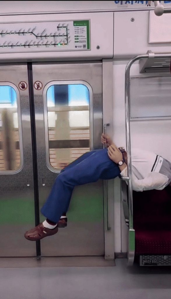 ボベドリーム(c)NEWSIS