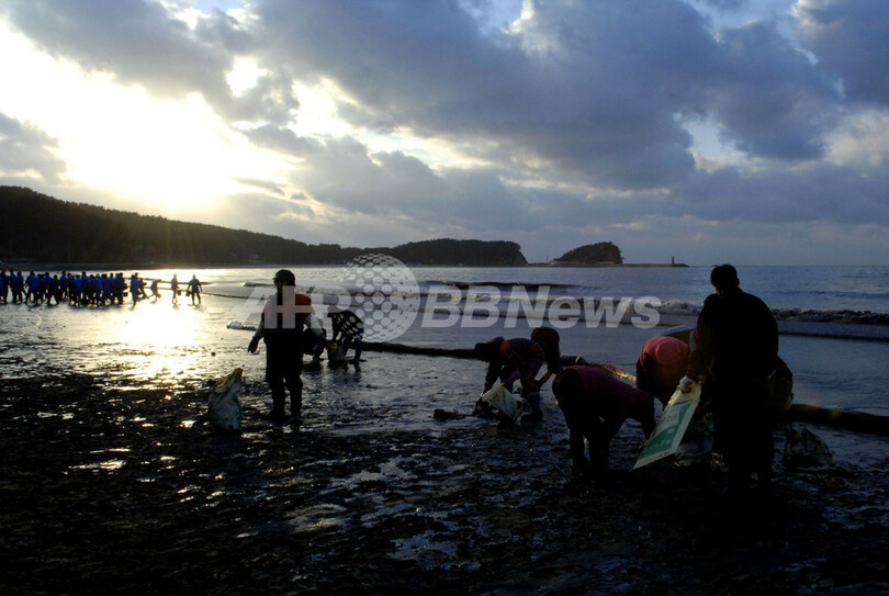 韓国沖の原油流出事故、海岸の汚染深刻　