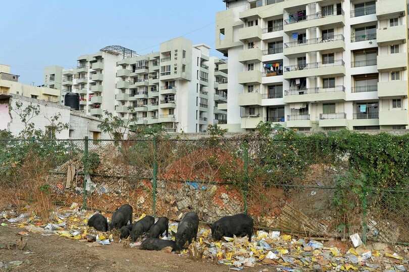 汚染された湖が炎上 インドIT都市、環境対策に批判