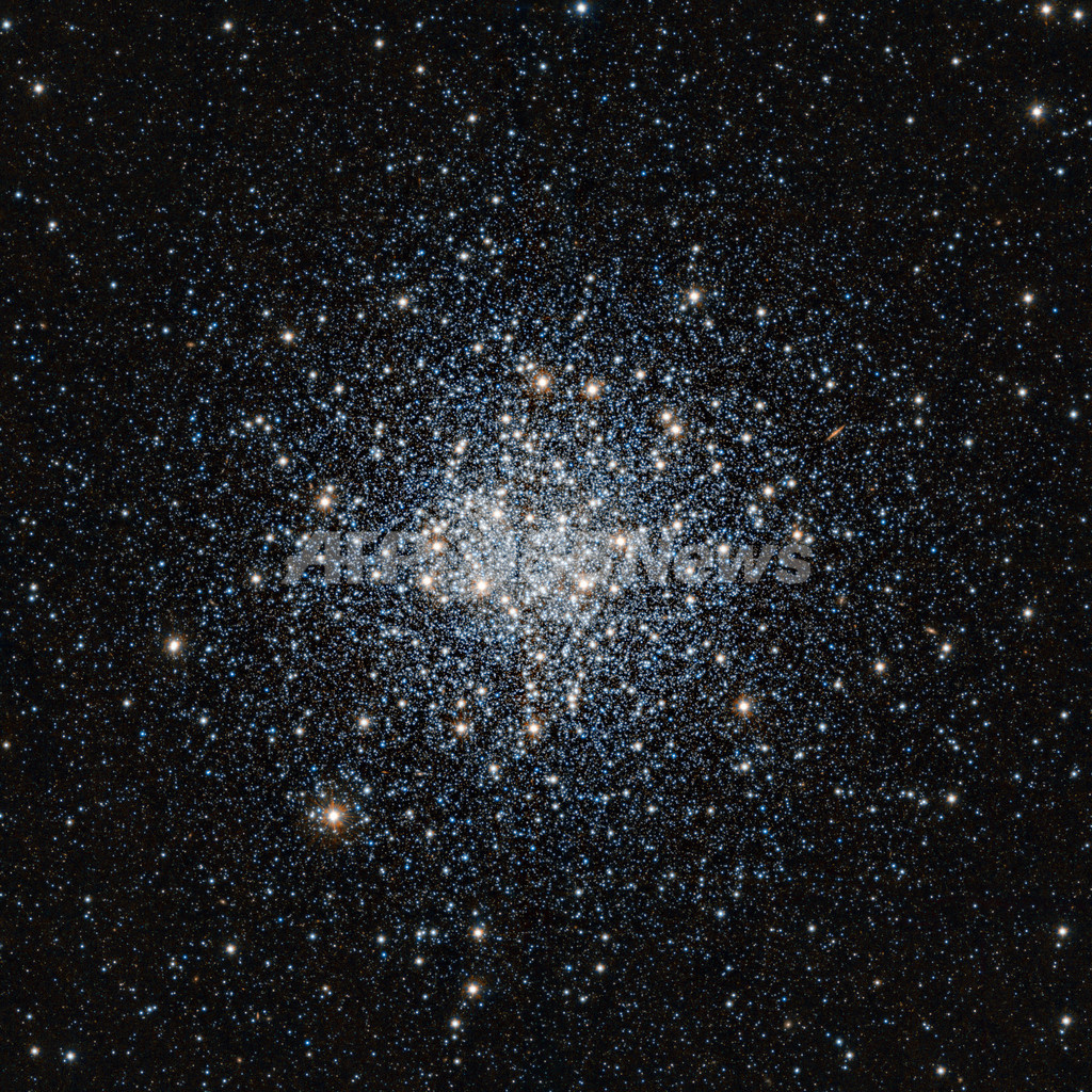 無数の古い星々の群れ、球状星団「M55」 無数の古い星々の群れ、球状星団「M55」