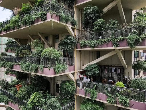 都会の楽園 のはずが 緑あふれる集合住宅 蚊の来襲でほぼ無人に 中国 写真8枚 国際ニュース Afpbb News 都会の楽園 のはずが 緑あふれる集合住宅 蚊の来襲でほぼ無人に 中国 写真8枚 国際ニュース Afpbb News