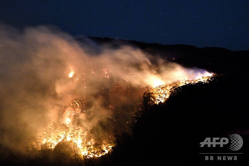 シドニー北郊で メガ火災 複数の森林火災合流で制御不能に 写真8枚 国際ニュース Afpbb News