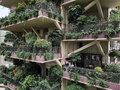 中国四川省成都で、植物に覆われた集合住宅のベランダ（2020年8月3日撮影）。(c)STR / AFP