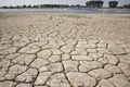 オランダのロビト近郊で、猛暑で干上がったライン川の川辺（2018年8月2日撮影）。(c)AFP PHOTO /  ANP / Jasper Juinen