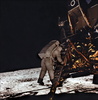 アポロ11号（Apollo XI）の月着陸船から月面へと降りる、エドウィン・オルドリン（Edwin Aldrin）宇宙飛行士（1969年7月21日撮影）。(c)AFP