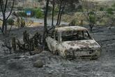 スペイン南部の山火事沈静化、避難指示は解除へ