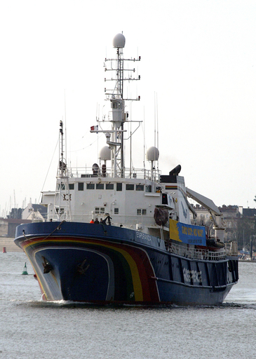 反捕鯨団体、仲間割れ？ グリーンピースがシー・シェパードへの協力拒む