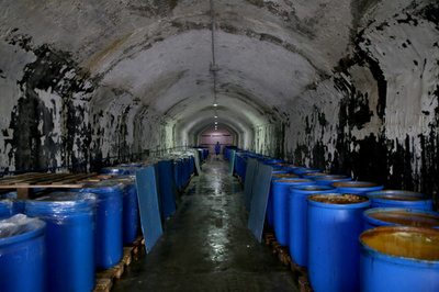 武器からアンチョビへの大転換、冷戦時代の軍用トンネル アルバニア