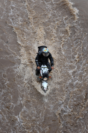 サンパウロ、集中豪雨で河川氾らん 4人死亡