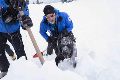 雪崩救助犬の指導者目指し、犬とペアで最終試験 フランス