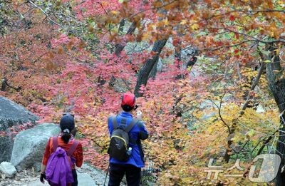 「母が登山で出会った男性と結婚を考えている」…韓国・娘が投稿、ただ気になる「詐欺師の雰囲気」
