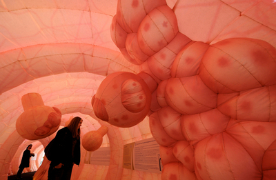 巨大な「腸」のアート、ドレスデンで展示