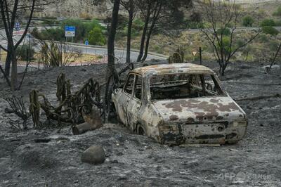スペイン南部の山火事沈静化、避難指示は解除へ