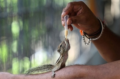 【今日の1枚】「たくさん食べて大きくなあれ」 インド