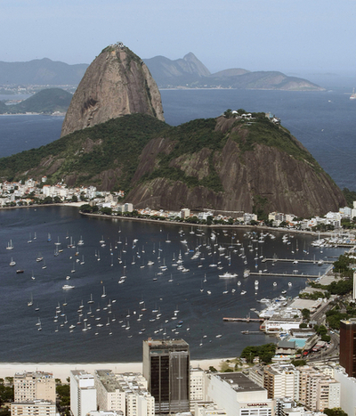 ブラジル保健当局、急死した南ア男性「死因は紅斑熱」