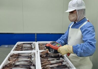 中国産「イカ墨」色素、基準値超えるヒ素…韓国で1.5t「輸入不許可」