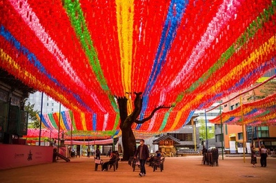 釈迦の誕生祝う「燃灯会」に向けて準備 韓国