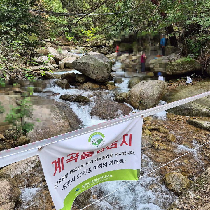 「ボベドリーム」(c)NEWSIS