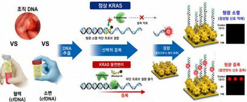 プラズモニック基盤リキッドバイオプシー・プラットフォームの原理図＝韓国材料研究院(c)KOREA WAVE