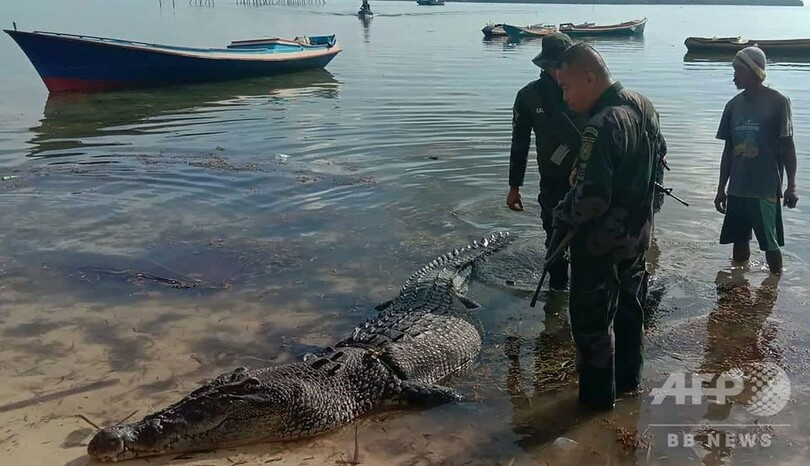 巨大ワニが漁師襲い殺害 ボートから引きずり落とす フィリピン 写真2枚 国際ニュース Afpbb News