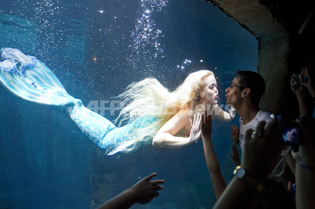 人魚 に出会える水族館 ブラジル 写真7枚 国際ニュース Afpbb News