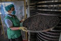スリランカ・ラトゥナプラの紅茶工場で働く作業員（2021年7月31日撮影）。(c)Ishara S. KODIKARA / AFP