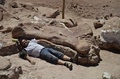 アルゼンチンのチュブト（Chubut）州ラウソン（Rawson）の発掘現場で、大きさを比べるため発見された世界最大とみられる恐竜の化石の横になっている発掘要員。エジディオ・フェルグリオ古生物博物館（Egidio Feruglio Paleontological Museum）提供写真（2014年5月17日提供）。(c)AFP/Museo Egidio Feruglio