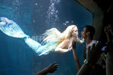 人魚」に出会える水族館、ブラジル 写真7枚 国際ニュース：AFPBB News