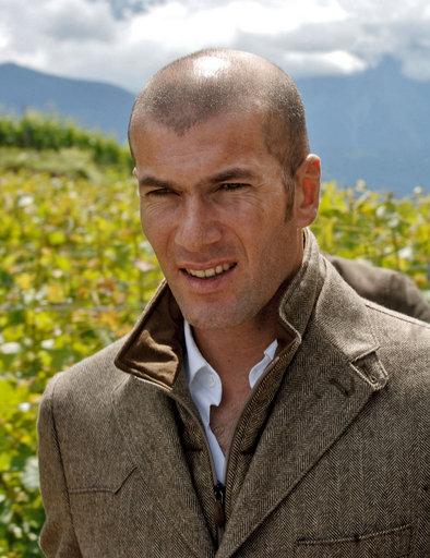 ジダン氏 平和のブドウ園を訪問