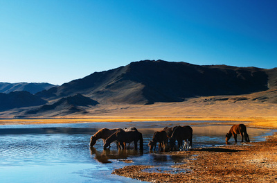 「青空の国」モンゴルの魅力に注目、独旅行見本市