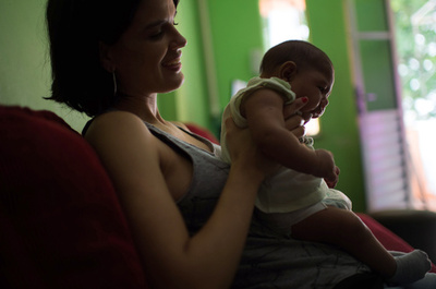 胎盤から胎児へ、ジカウイルスの侵入過程を初解明 マウス実験