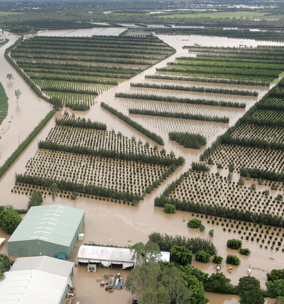 豪クイーンズランド州、洪水被害が拡大
