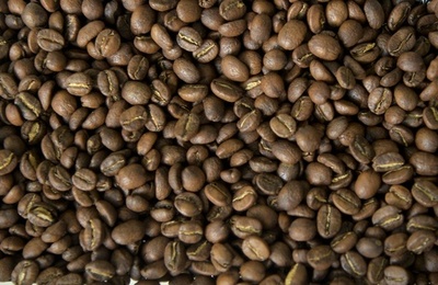 コーヒー豆に鎮痛作用のペプチドを新たに発見、ブラジル