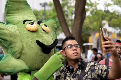 嗜好用マリフアナ使用禁止は違憲、メキシコ最高裁