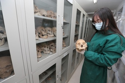 新石器から清代まで人骨標本5000点を保管 西北大学の考古・人類学実験室