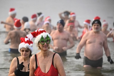 「ベルリンのアザラシ」は寒さも平気？ クリスマス寒中水泳 