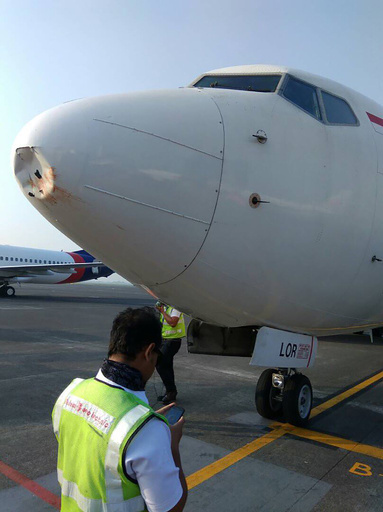 着陸直前に鳥と衝突、航空機のノーズがへこむ インドネシア