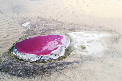 砂漠に輝く宝石のよう、ピンク色の湖 中国・内モンゴル