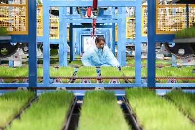 中国はグリーンでスマートなデジタル生態文明の建設に努力する