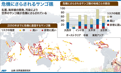 【図解】サンゴ礁の危機