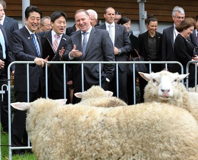 安倍首相がNZ首相と会談、捕鯨めぐり「見解の相違を確認」