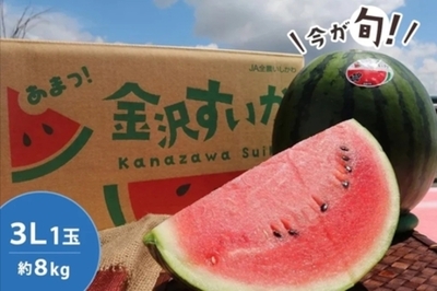 砂丘地が育てる、甘さとシャリ感が特長の石川県産「金沢すいか」を JAタウン「かが・のと味自慢」で販売中!