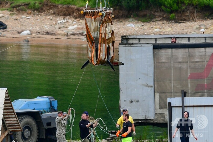 水族館への輸出目的で捕獲、「イルカ監獄」から最後の21頭解放 ロシア