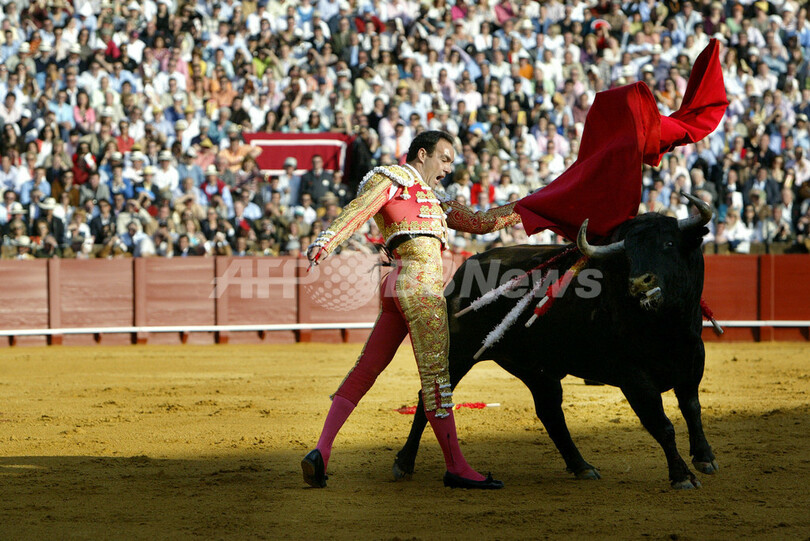 闘牛士「カスティーリャ」、今シーズンのオープニングを飾る - スペイン