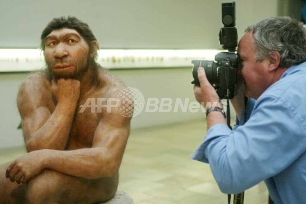 ネアンデルタール人は15万年前には貝を食べていた、スペイン研究 ネアンデルタール人は15万年前には貝を食べていた、スペイン研究