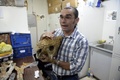 ベネズエラ・カラカス（Caracas）で、同国で発見されたグリプトドンの頭蓋骨の化石を手にするベネズエラ科学調査機関古生物学研究室のアスカニア・リンコン（Ascania Rincon）室長（2013年8月30日撮影）。(c)AFP/JUAN BARRETO
