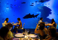 スペインのパルマデマジョルカ（Palma de Mallorca）にあるパルマ水族館（Palma Aquarium）で、欧州域内で最も水深のあるサメの水槽「ビッグ・ブルー（Big Blue）」の前でディナーを楽しむ人たち（2013年7月18日撮影）。(c)AFP/JAIME REINA