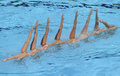 第15回世界水泳選手権（15th FINA World Championships）は22日、スペイン・バルセロナ（Barcelona）でシンクロナイズドスイミングのチームテクニカルルーティン（TR）決勝が行われ、ロシアが96.6点で金メダルに輝いた。

94.4点を記録したスペインが銀メダル、93.3点を記録したウクライナが銅メダルを獲得した。

演技に臨むウクライナの選手（2013年7月22日撮影）。(c)AFP/JOSEP LAGO
